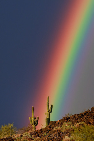Rainbow-0021-Edit