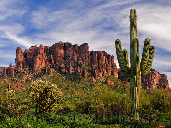 Spring in the Superstition Mountains