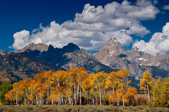 Autumn in the Tetons