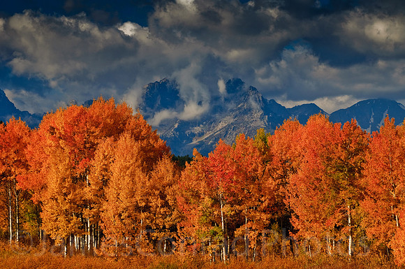 Teton-Day5-0174-Edit-2