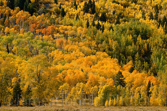 Grand Tetons near Jackson Village